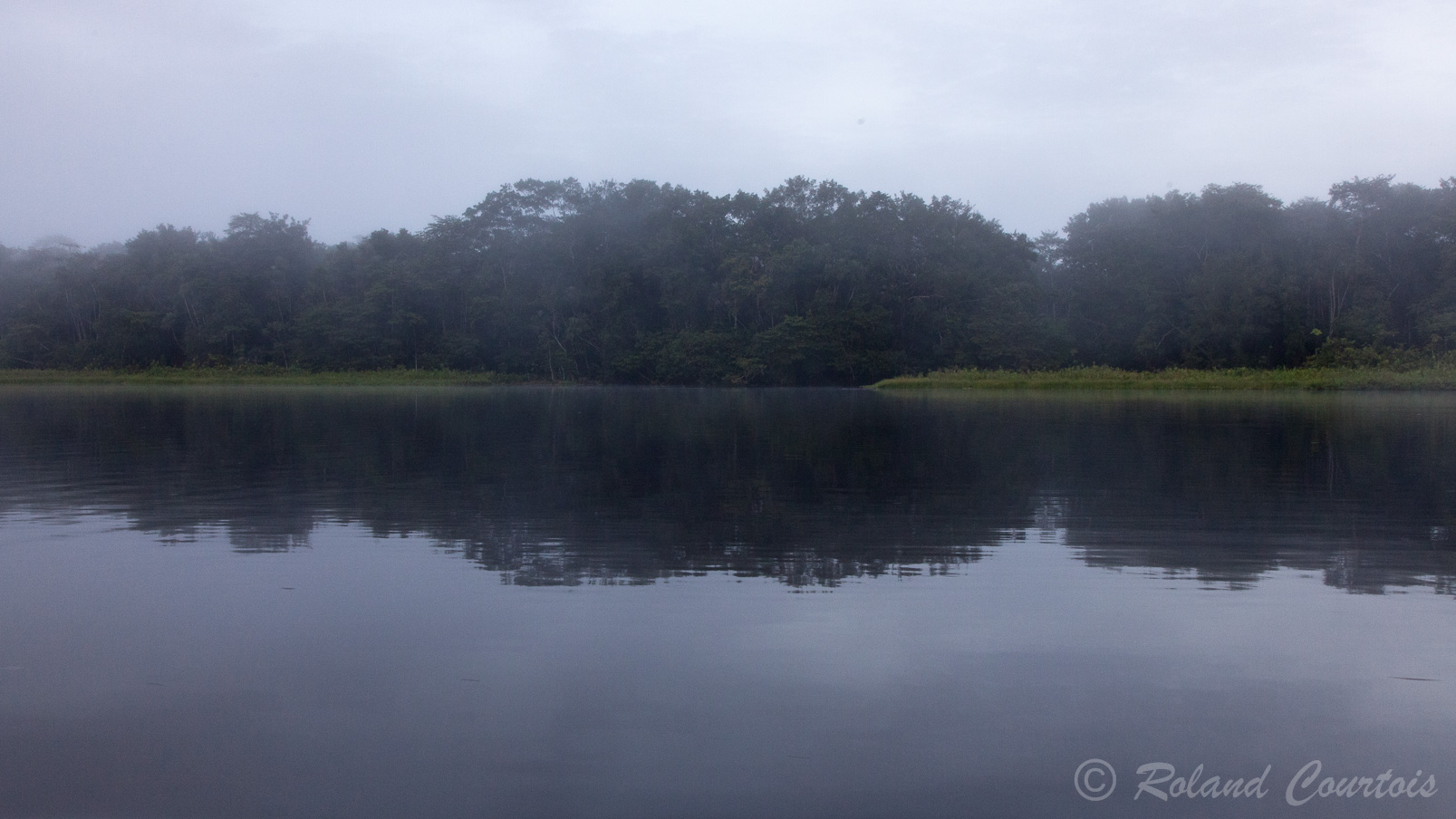 Vue féérique sur le lagon pres du lodge du Yasuni Biosphere Reserve