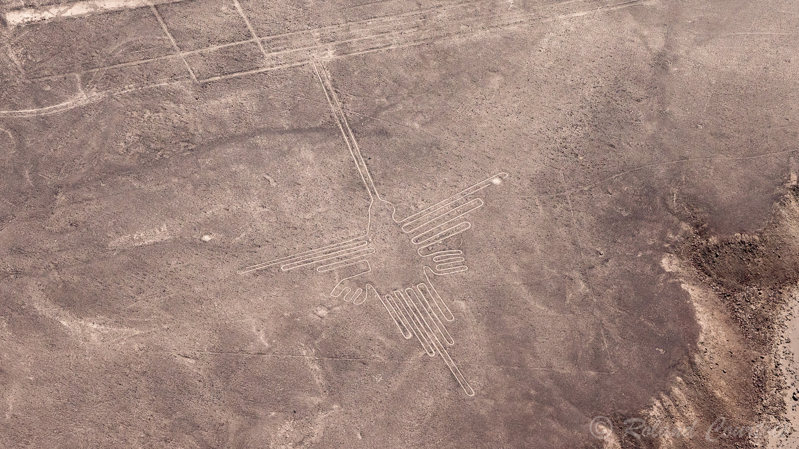 Découverte des lignes de Nazca. Colibri
