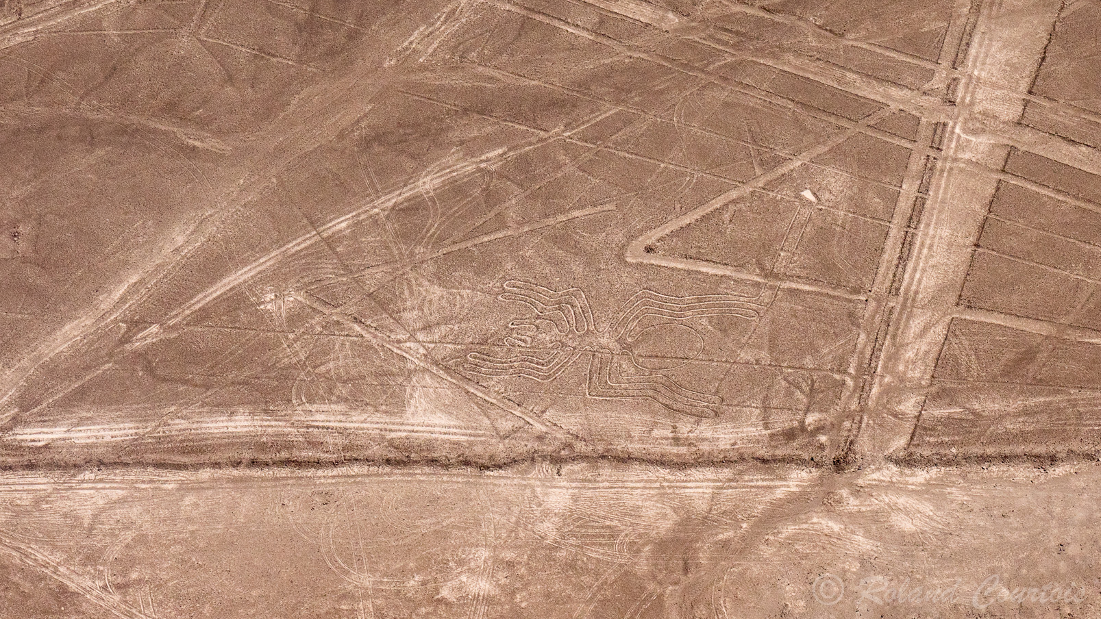 Découverte des lignes de Nazca. Araignée