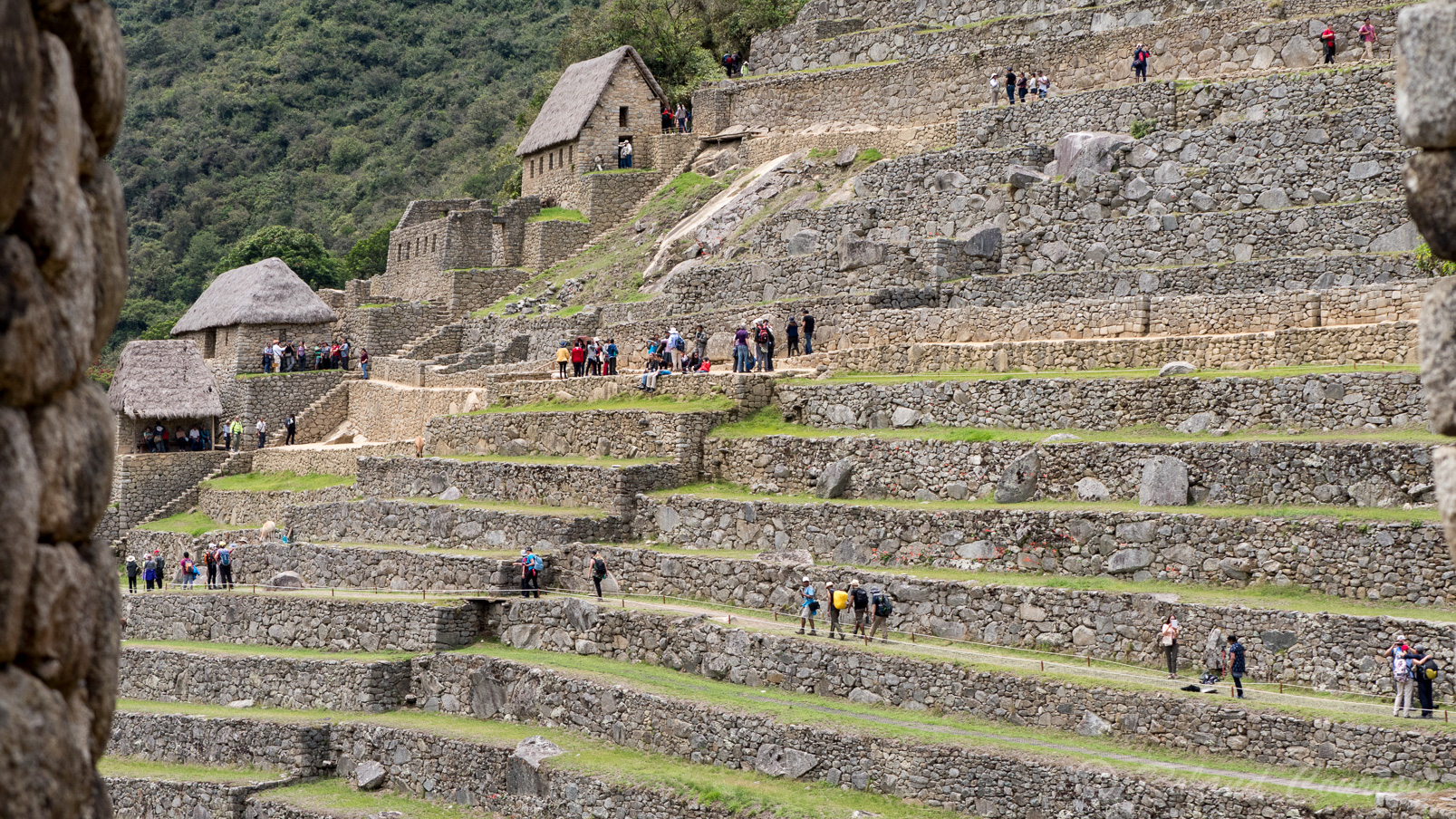 Machu Pichu, Terrasses agricoles  et entrepots