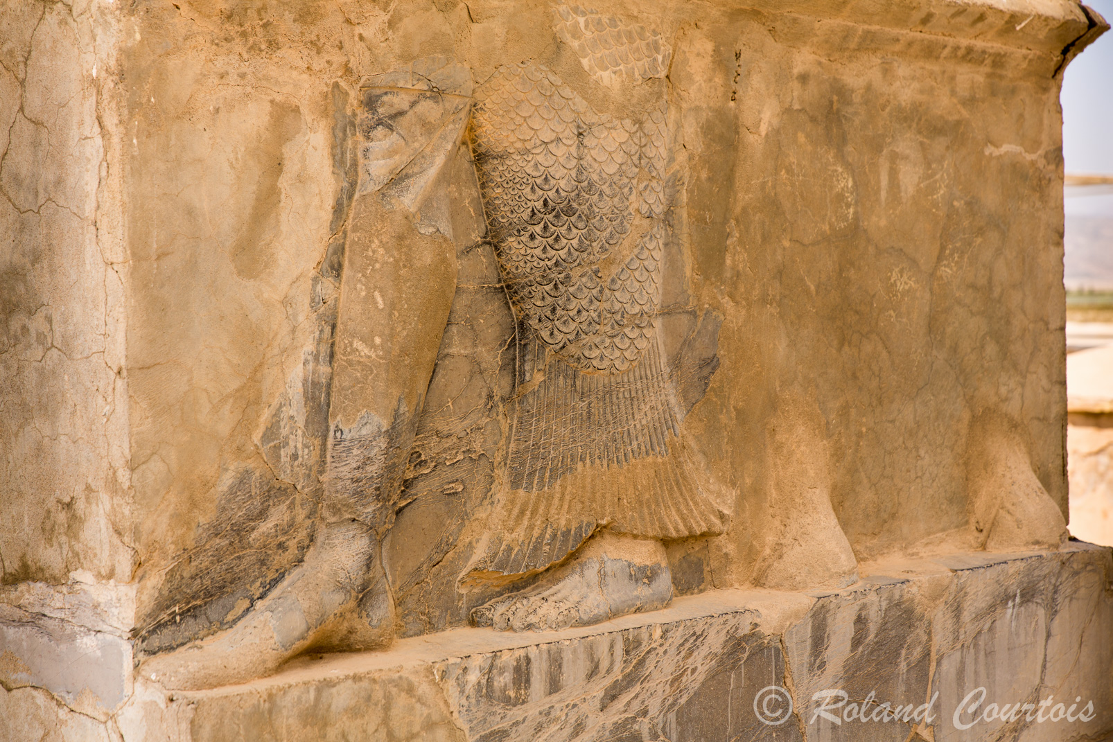 Pasargades. Palais d'audience. Des bas-reliefs, de style assyrien et fortement symboliques ornaient les entrées. Ici un génie-poisson et des pieds d'homme, ce serait le dieu Ea, dieu des eaux douces..