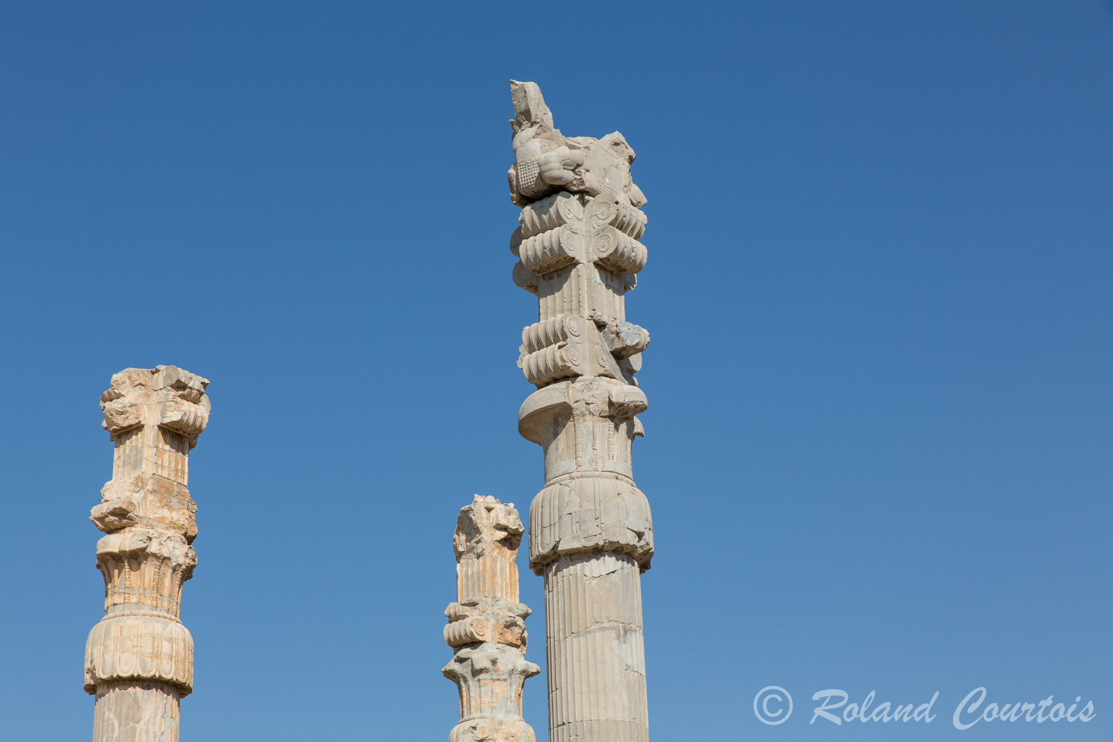 Persepolis, Porte des Nations : Chapiteaux des colonnes achéménides.