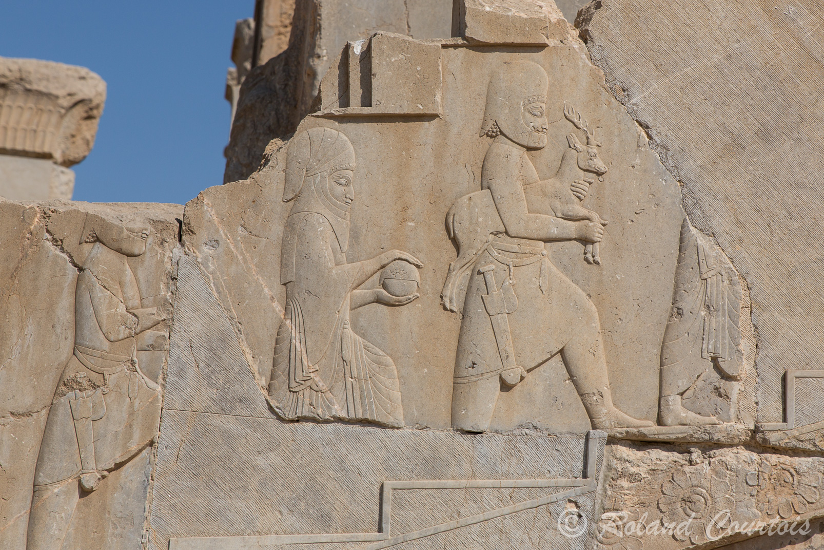 Persepolis: Palais de Darius