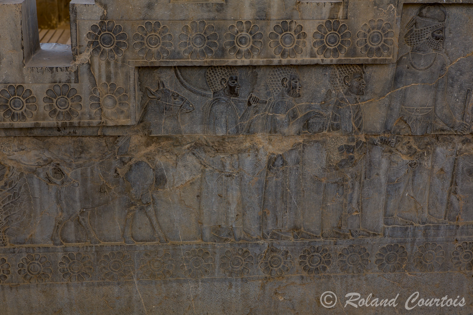 Persepolis :  Frise des Tributaires, escalier Est. Les Nubiens ou Ethiopiens, avec girafe, portent des défenses d’éléphants et sont conduits par un mède.