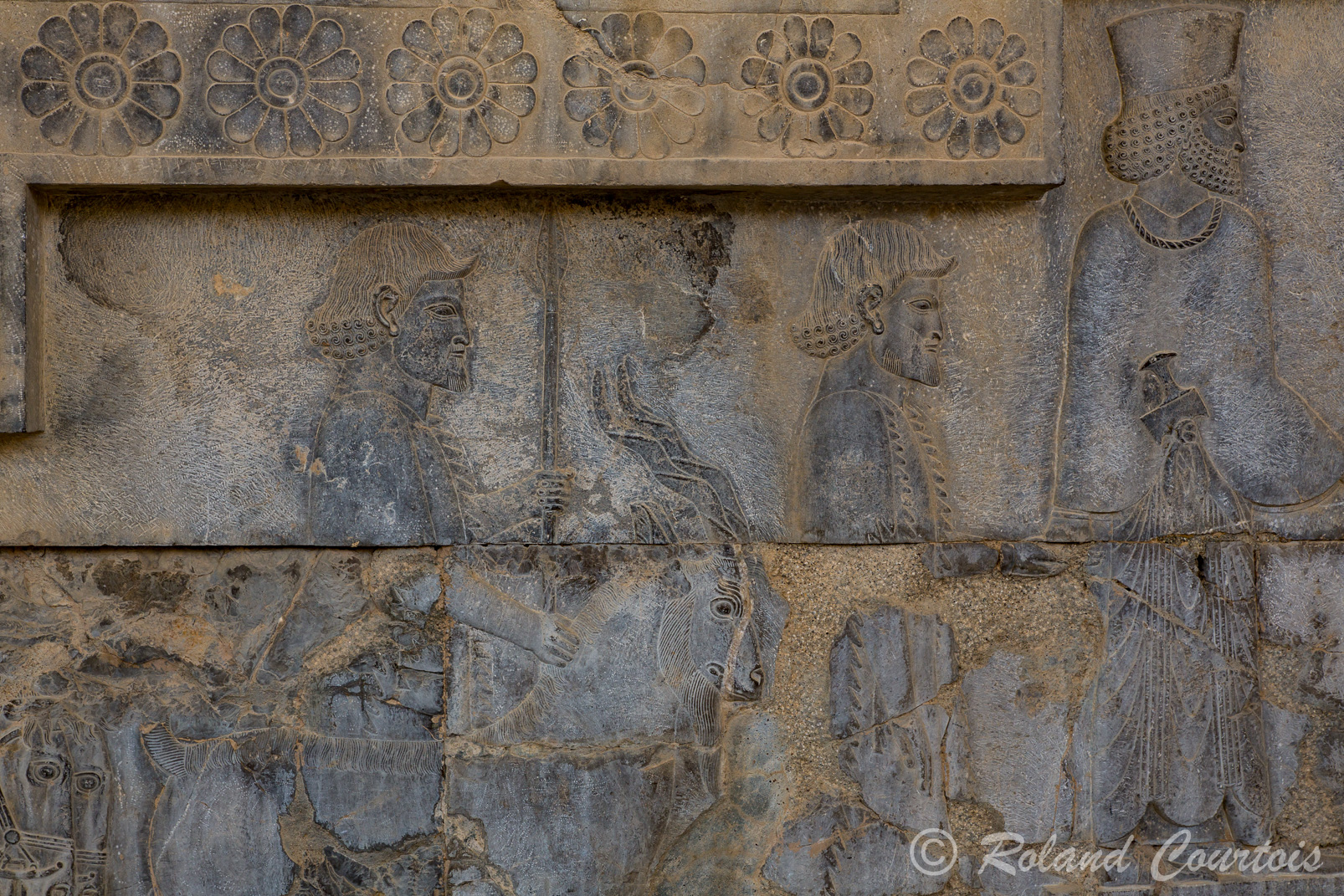 Persepolis :  Frise des Tributaires, escalier Est. Les Lybiens, avec des chevaux au bel harnachement tirant un charriot, et un bouquetin. Ils sont conduits par un Perse.