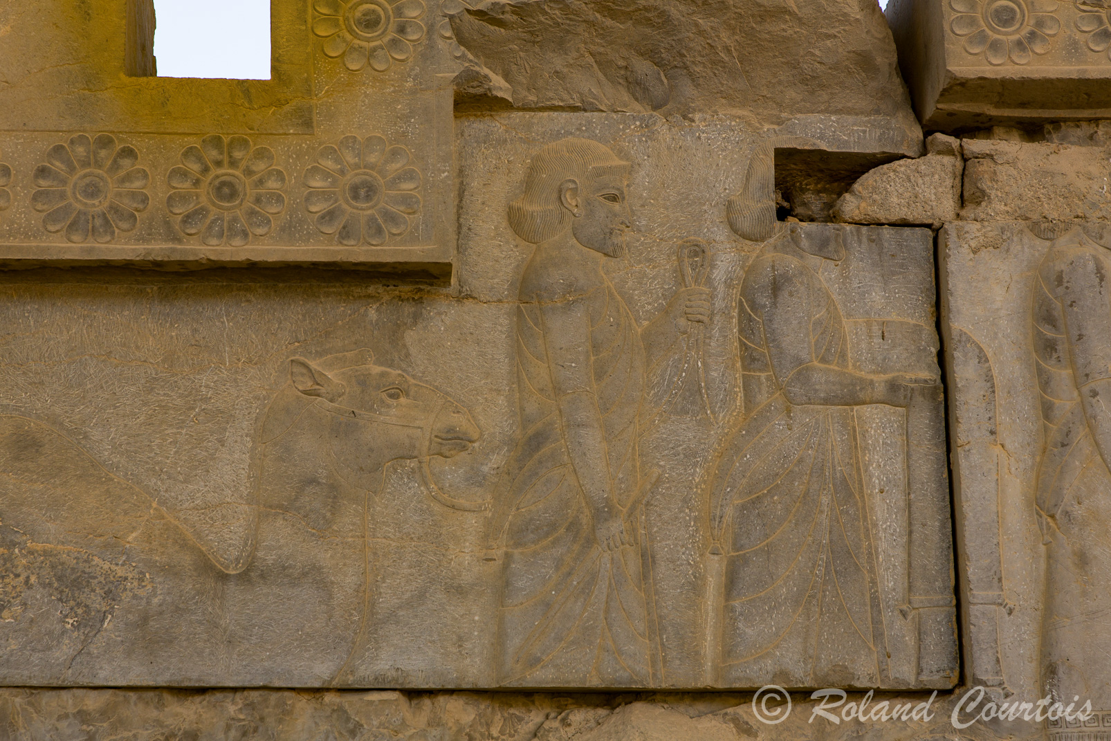 Persepolis :  Frise des Tributaires, escalier Est. Les Arabes, avec dromadaire, habitants du désert portant des sandales amènent du tissu.