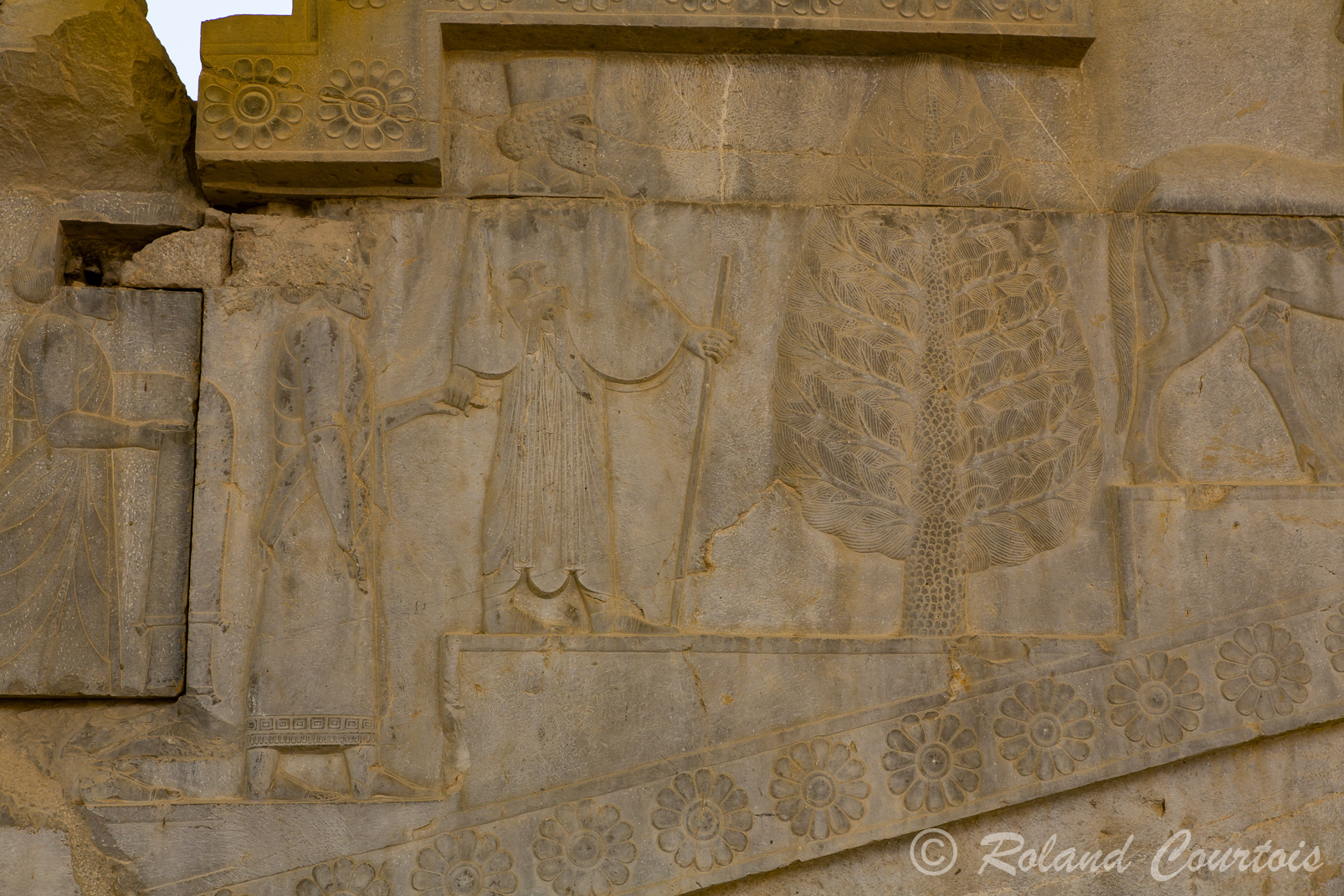 Persepolis :  Frise des Tributaires, escalier Est. Les Arabes, avec dromadaire, habitants du désert portant des sandales amènent du tissu.