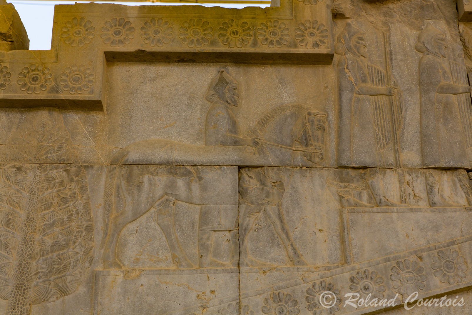Persepolis :  Frise des Tributaires, escalier Est. Les Thraces, avec un cheval, portent des chapeaux pointus des lances et boucliers.