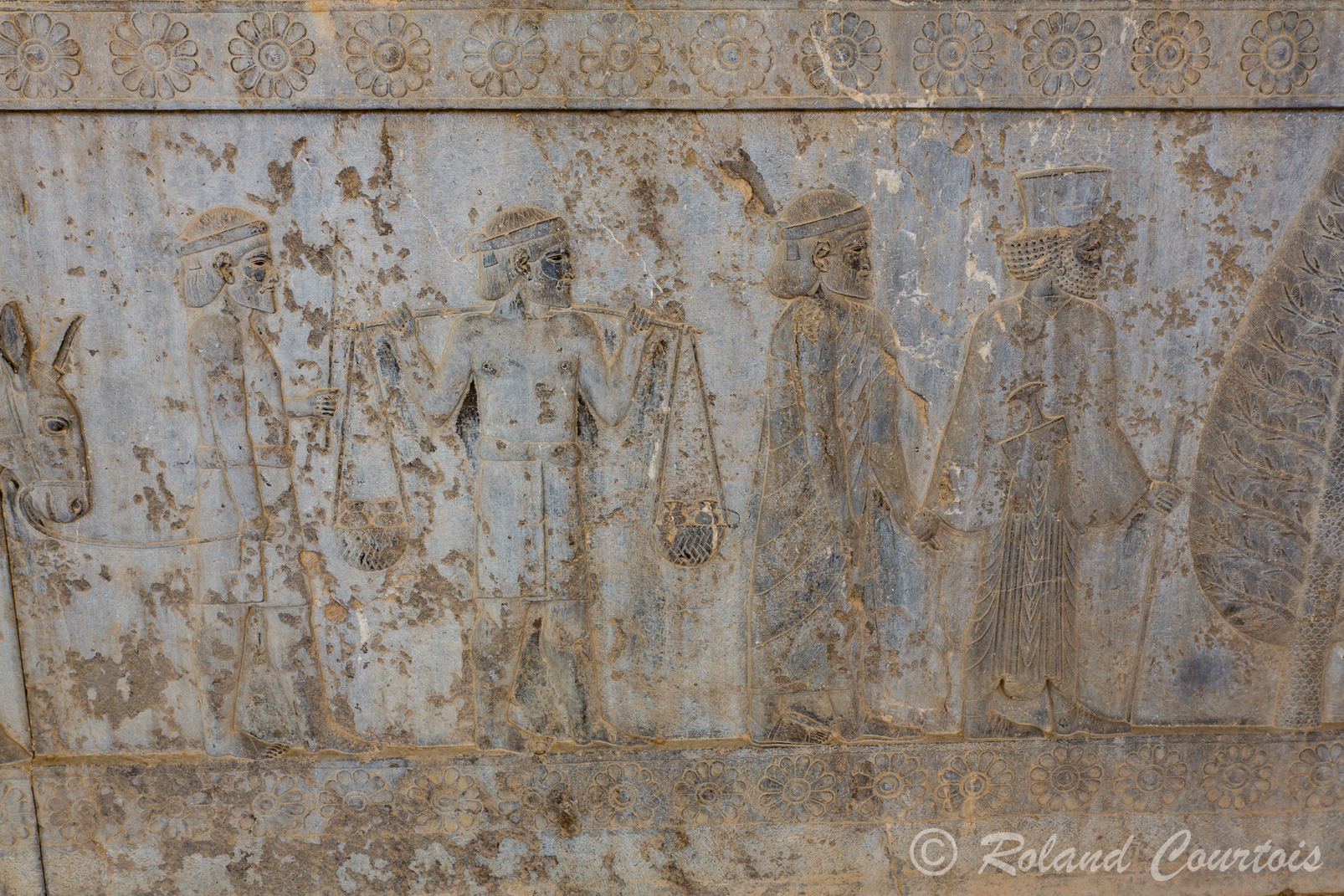 Persepolis :  Frise des Tributaires, Les indiens, torses nus apportent des épices.