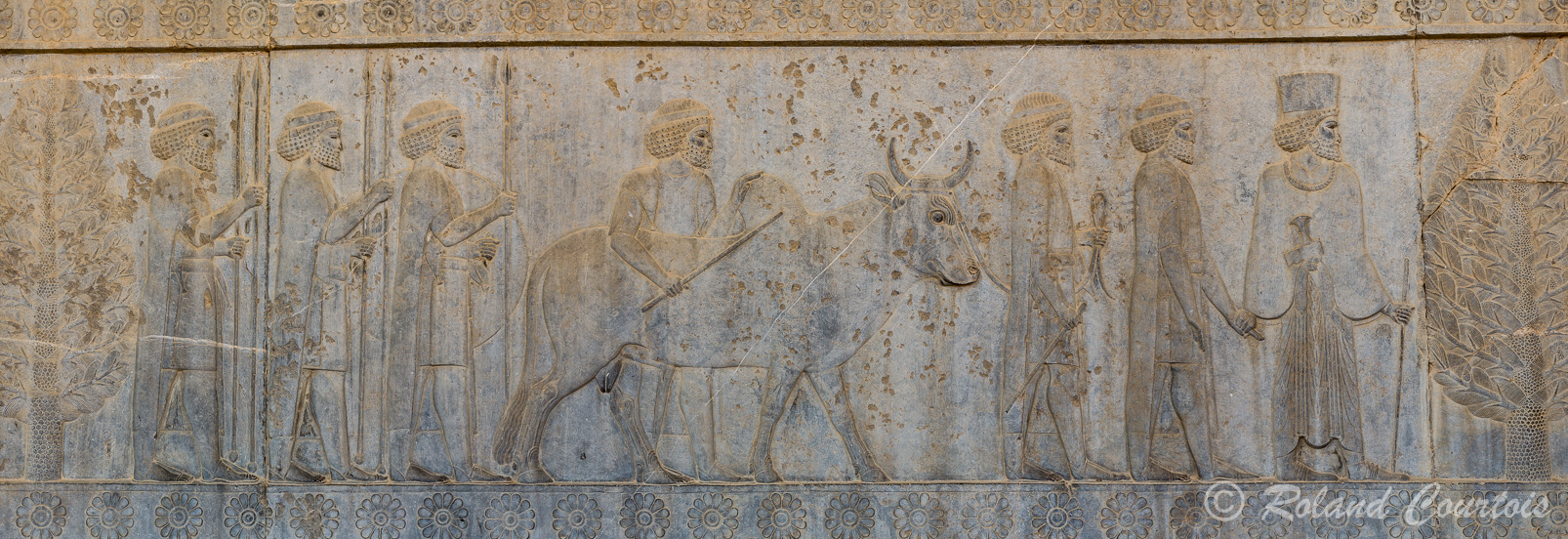 Persepolis :  Frise des Tributaires, Les Gandhariens, avec buffle, lances et bouclier.
