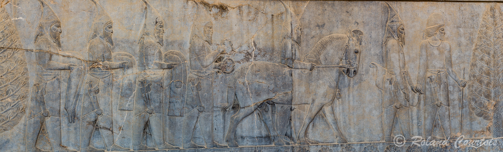 Persepolis :  Frise des Tributaires, Les Scythes, avec cheval hennissant, apportent des bracelets avec tête de taureau.