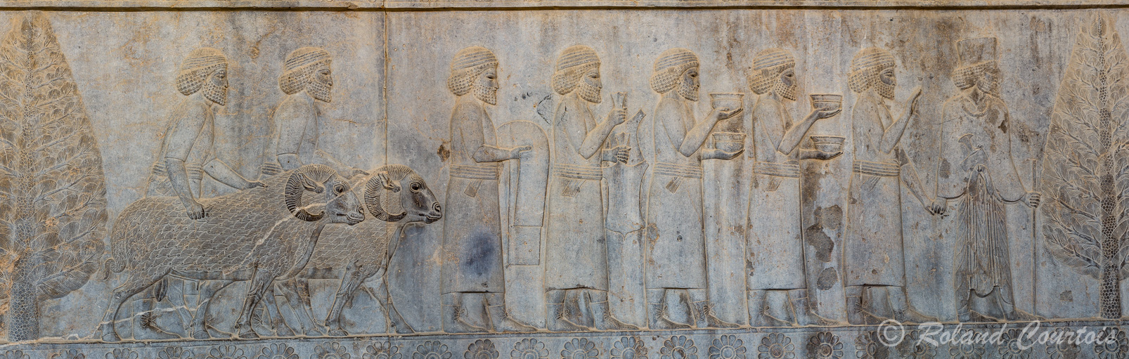 Persepolis :  Frise des Tributaires, Les Assyriens (voir les lacets), avec les béliers, apportent de la vaisselle.