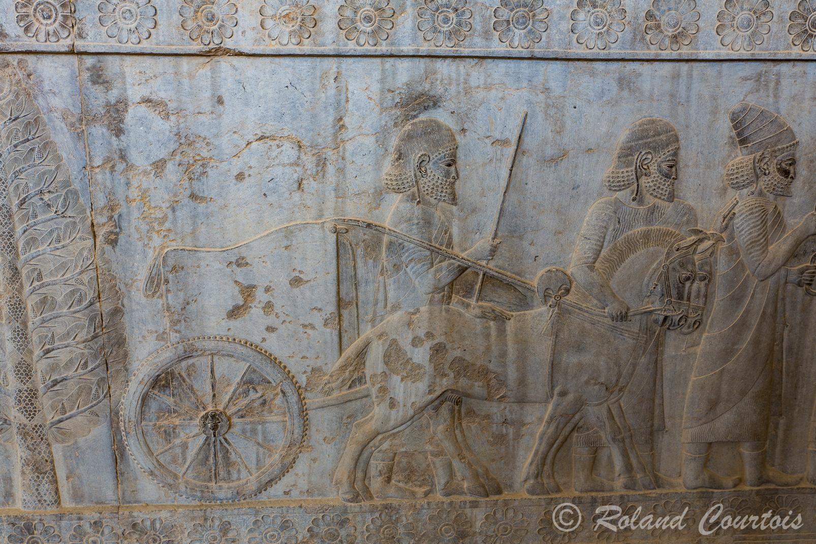 Persepolis :  Frise des Tributaires, Les Lydiens, avec chevaux, apportent un char de la vaisselle et des bracelets.