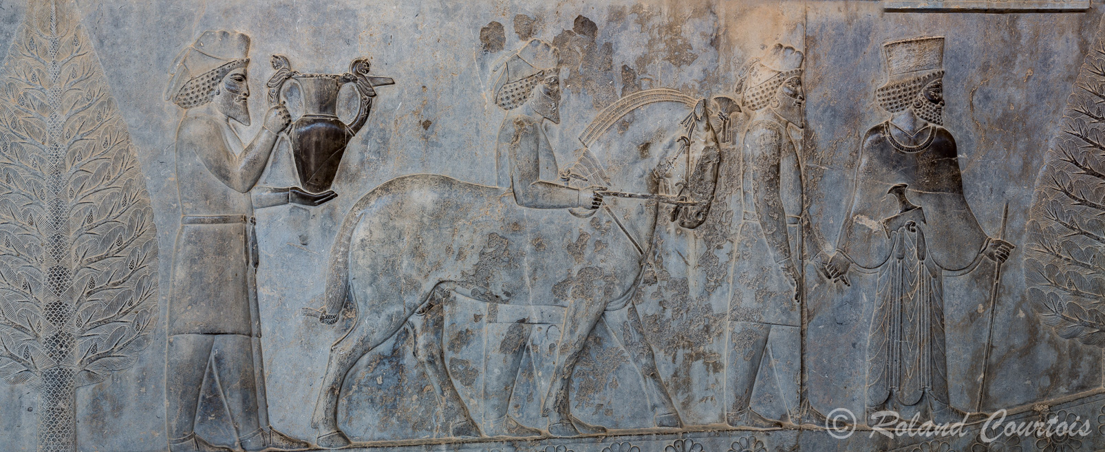 Persepolis :  Frise des Tributaires, Les Arméniens, avec cheval à la crinière en 3 étages, apportent un vase magnifique.