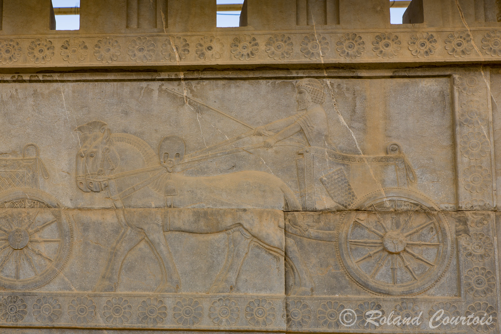 Persepolis: Frise des immortels : Char de combat.